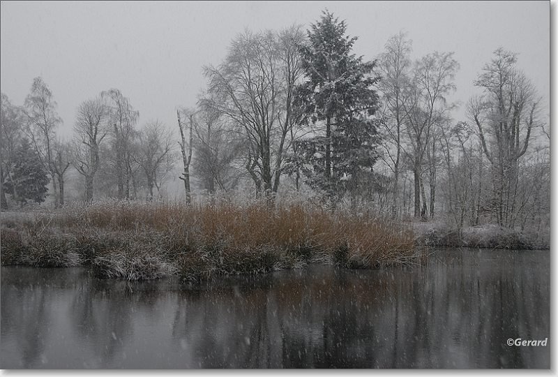 Beverbeek in een sneeuwbui 2.JPG - Beverbeek in een sneeuwbui